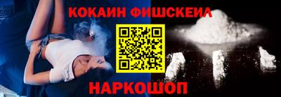 шишки Кимры