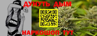 сатива Кингисепп