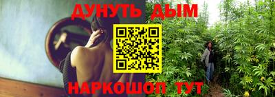 шишки Кимры
