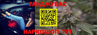 сатива Кингисепп