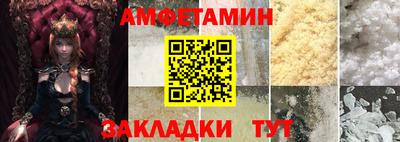 сатива Кингисепп