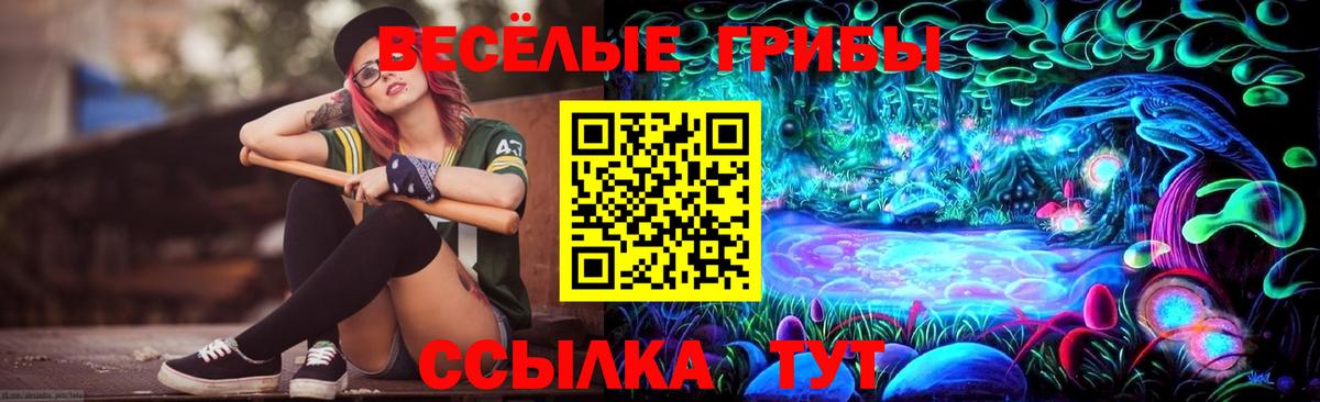 дарнет шоп  Псилоцибиновые грибы GOLDEN TEACHER  Вход с VPN  Кировск 